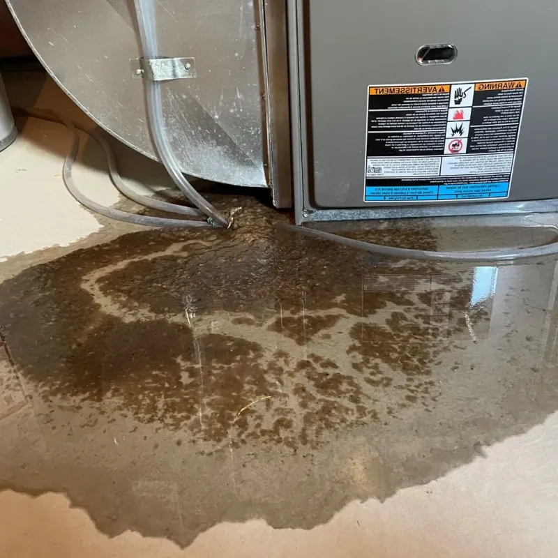 Pipe Burst and Leak Restoration in Rock Valley, IA