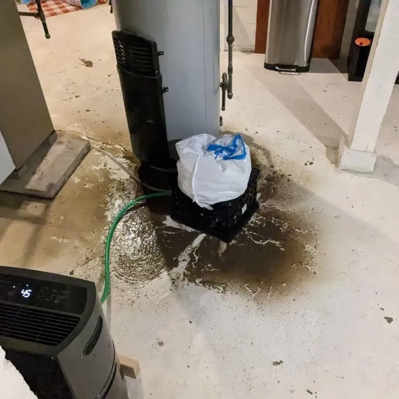 Sewage Backup Cleanup Service in Rock Valley, IA